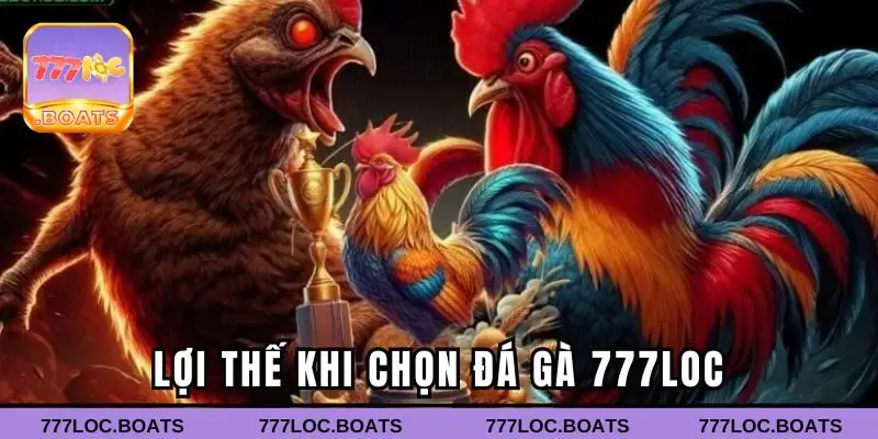 Lợi thế khi chọn đá gà 777loc