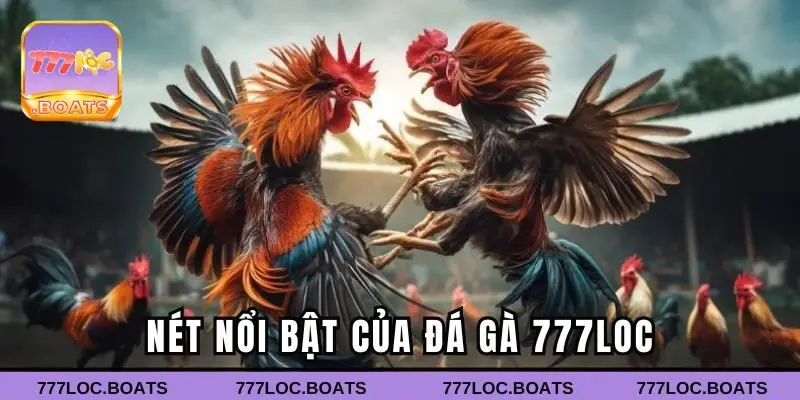 Nét nổi bật của Đá gà 777loc